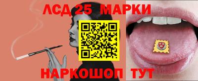 гидропоника Можайск