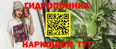 скорость Можга