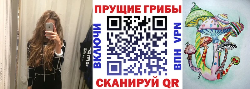 Псилоцибиновые грибы GOLDEN TEACHER  Омск 
