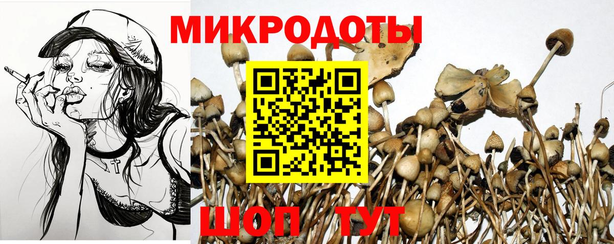 Галлюциногенные грибы мицелий  Вход с VPN  где найти   Омск  Галлюциногенные грибы Psilocybine cubensis 